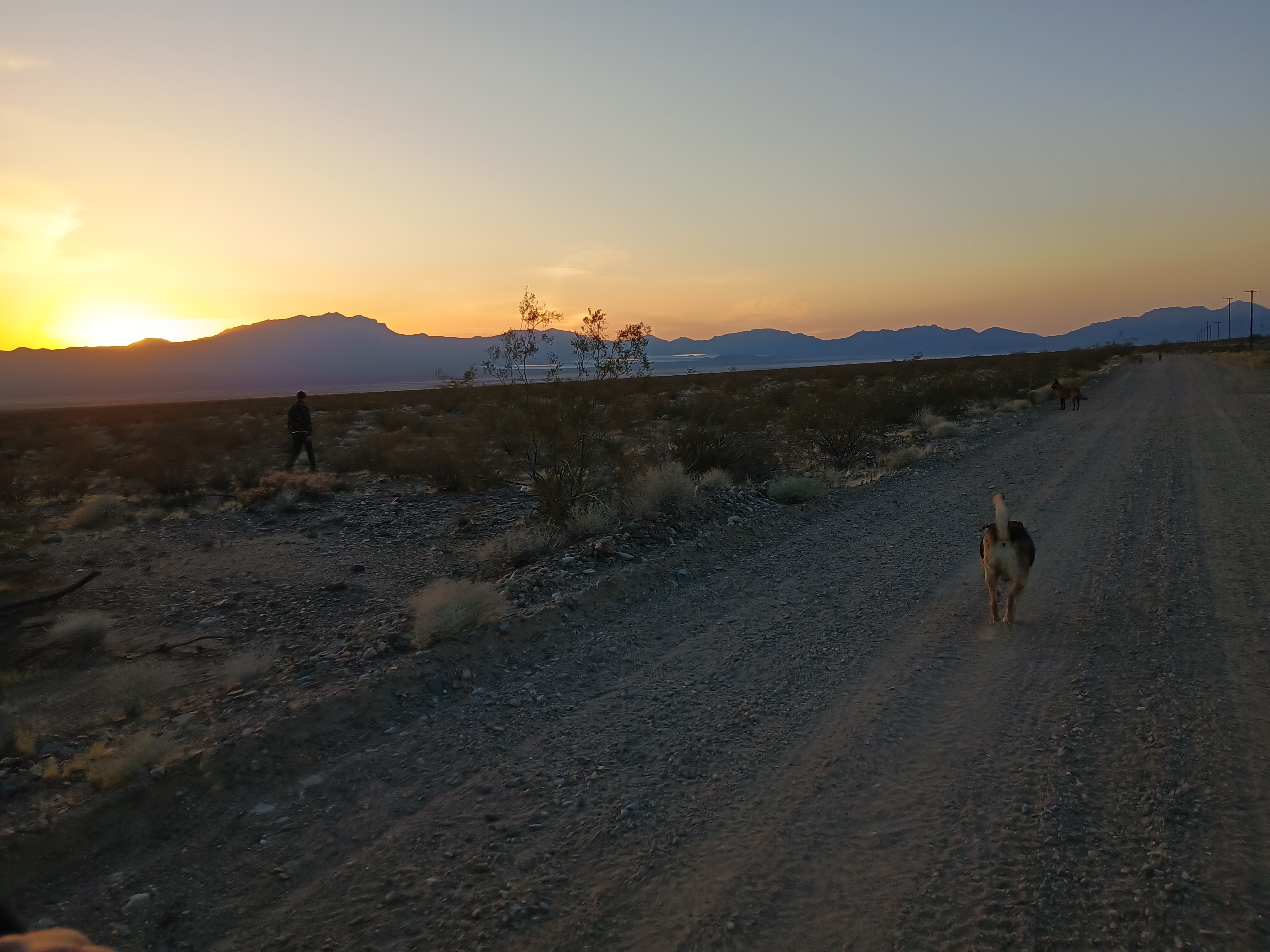 Mojave desert at sunset